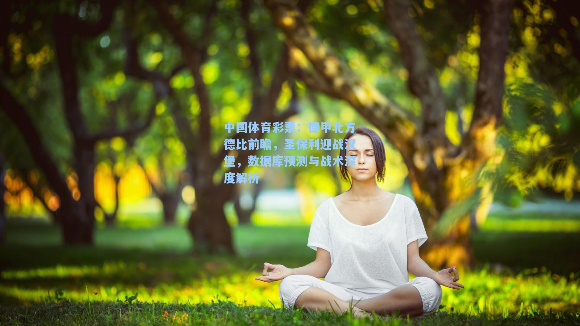 中国体育彩票：德甲北方德比前瞻，圣保利迎战汉堡，数据库预测与战术深度解析