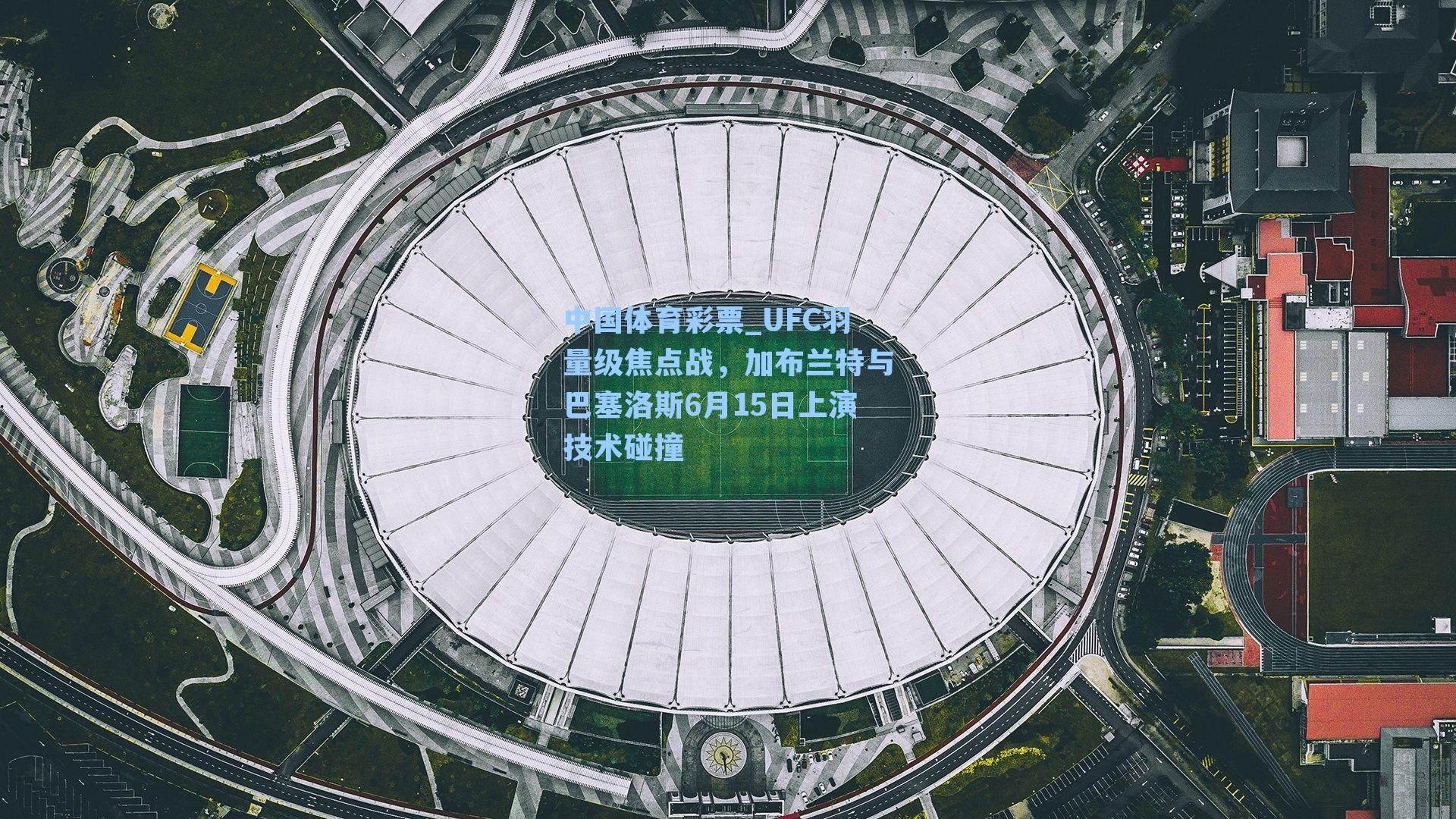 UFC羽量级焦点战，加布兰特与巴塞洛斯6月15日上演技术碰撞