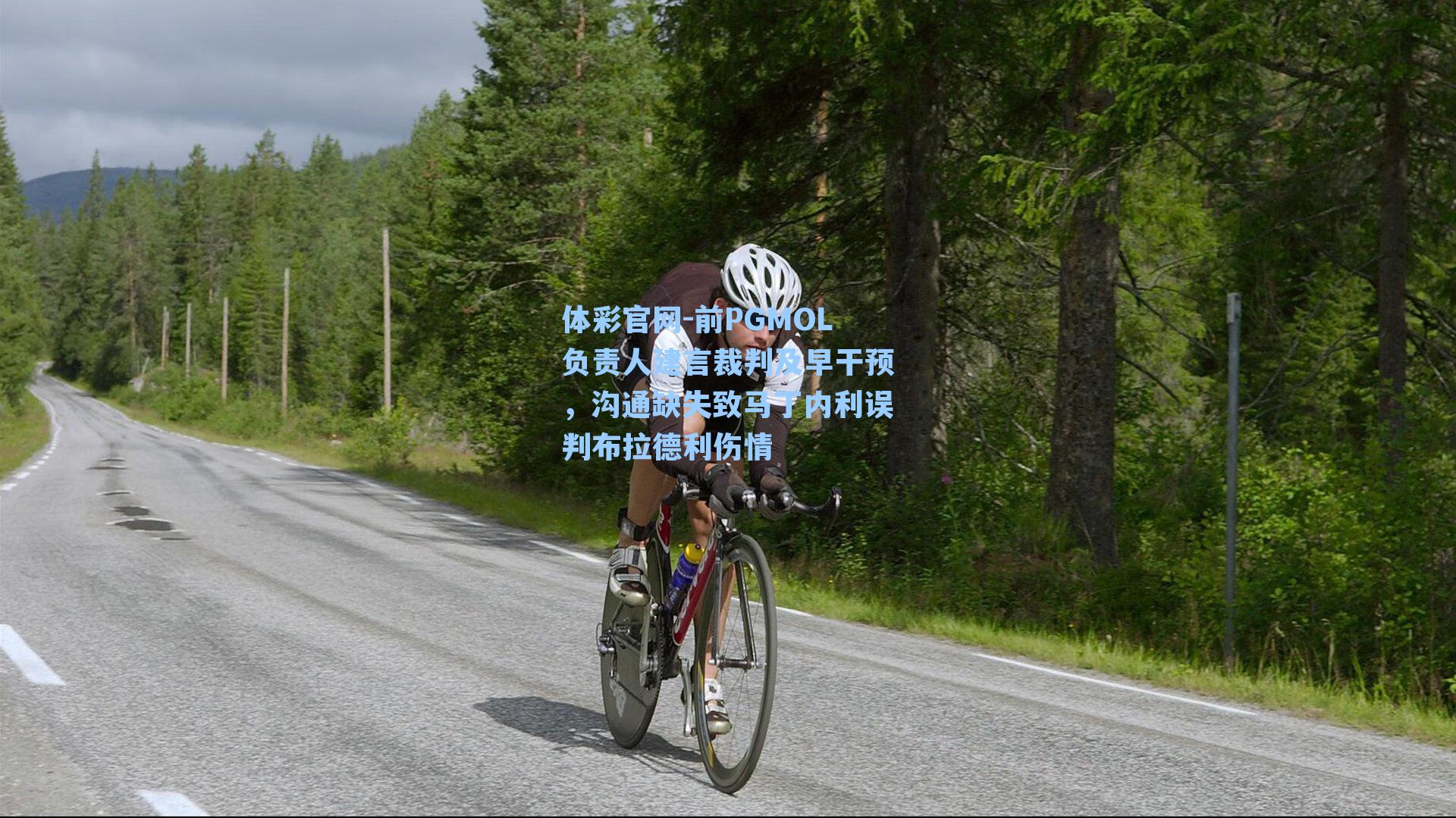 体彩官网-前PGMOL负责人建言裁判及早干预，沟通缺失致马丁内利误判布拉德利伤情