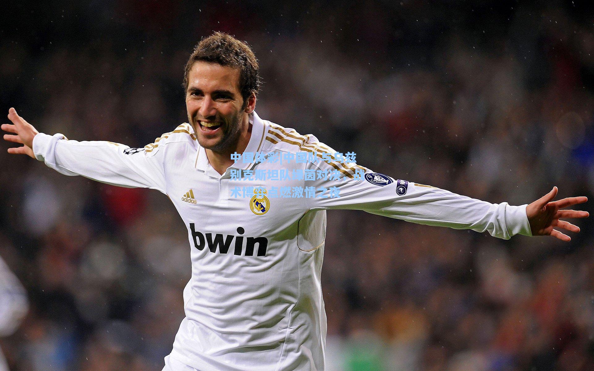 中国队与乌兹别克斯坦队绿茵对决，战术博弈点燃激情之夜